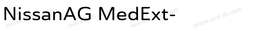 NissanAG MedExt字体转换